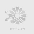 غذای خشک گربه رفلکس پلاس اسکین کر